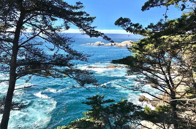 17-Mile Drive, Monterey Peninsula &Carmel Max 12 Small Group Tour - Bird Rock Vista Point: sea lions and seabirds in a compact time window