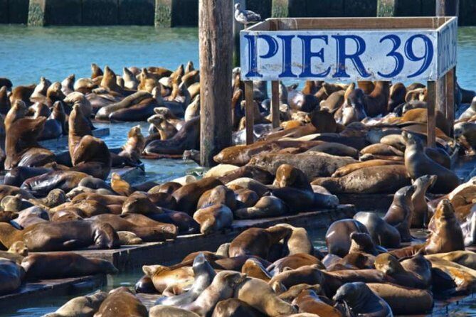 2-Day Hop-On Hop-Off Tour & Alcatraz - Price and Logistics: Is $159.99 a Good Deal Here?