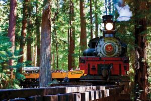 3 Day Tour to Oregon Redwood Crater Lake from San Francisco - Sundial Bridge and Shasta Dam: the California detours that change the mood