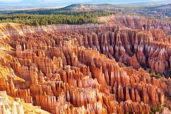 4-Day Tour in Zion, Bryce & Antelope Canyon, Las Vegas - Day 1: San Francisco to Las Vegas and the Fremont Street Feel