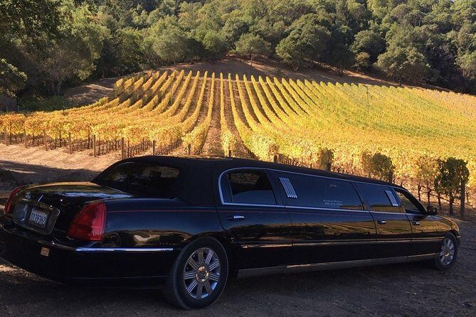 6-Hour Luxury Napa Wine Tasting Tour with Route Planning - Key Highlights Worth Your Attention