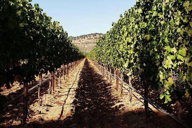 6-Hour Luxury Napa Wine Tasting Tour with Route Planning - How the 6-Hour Napa Flow Works in Real Life