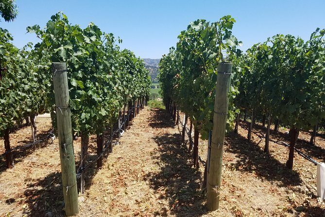 6 Hour Private Wine Country Tour (Sedan, SUV or Limo) - Pickup and Ride Comfort: Door-to-Door Without the Headaches