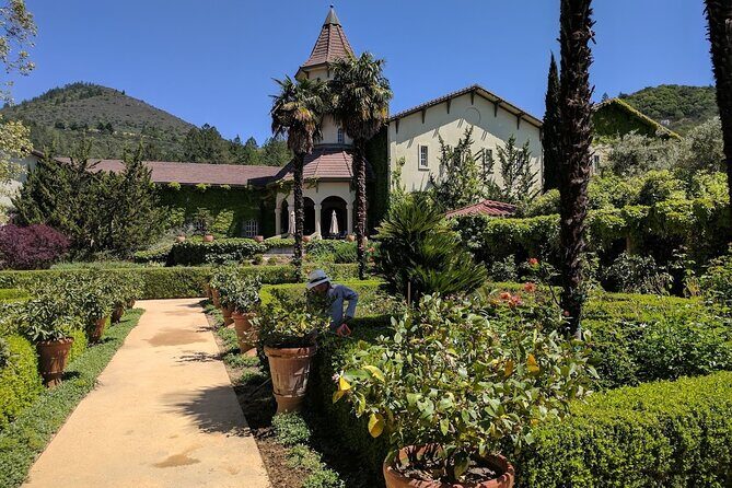 6 Hour Private Wine Country Tour (Sedan, SUV or Limo) - Drivers, Scheduling, and the Human Side of a Private Tour