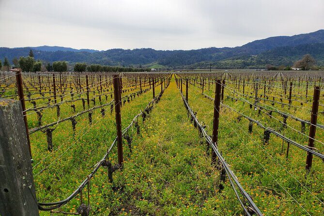 6-Hour Sparkling Wine Tour of Napa Valley - Should You Book This 6-Hour Sparkling Wine Tour?