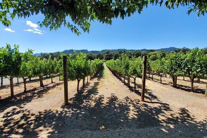 6-Hour Sparkling Wine Tour of Napa Valley - 6 Hours in Napa Valley: How the Bubble-Focused Flow Works