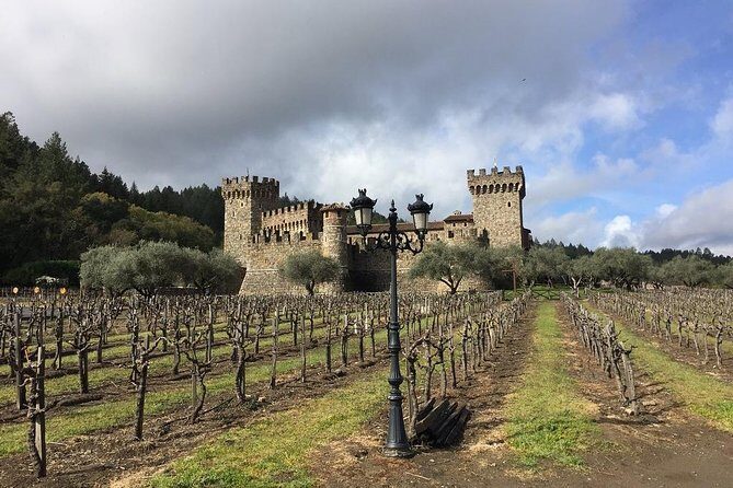 8-Hour, Private Limo Wine Tour to Napa from San Francisco - Who this tour is best for (and who might want something else)