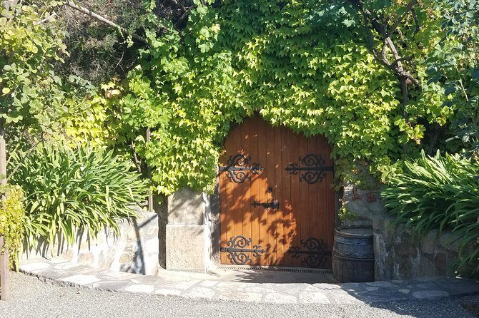 8 Hour Private Tour in Napa Valley Winery - A Private Napa and Sonoma Day That Fits Real Schedules