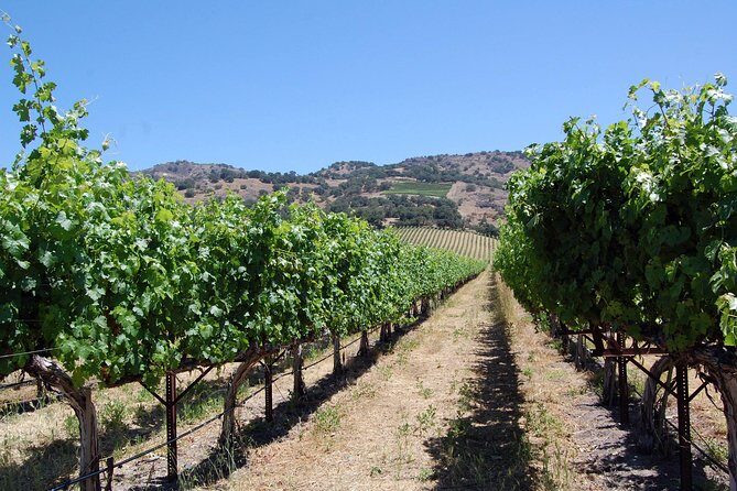 8 Hour Private Tour in Napa Valley Winery - Building Your Winery Route: Choose Stops or Let the Driver Steer