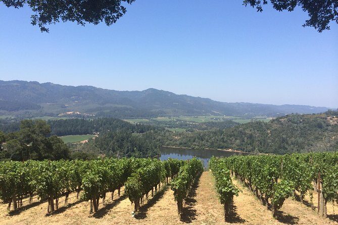 8-Hours Private Limo(up to 8 pass.) Wine Tour of Napa Valley from San Francisco - Price and value: what $1,499 really buys you