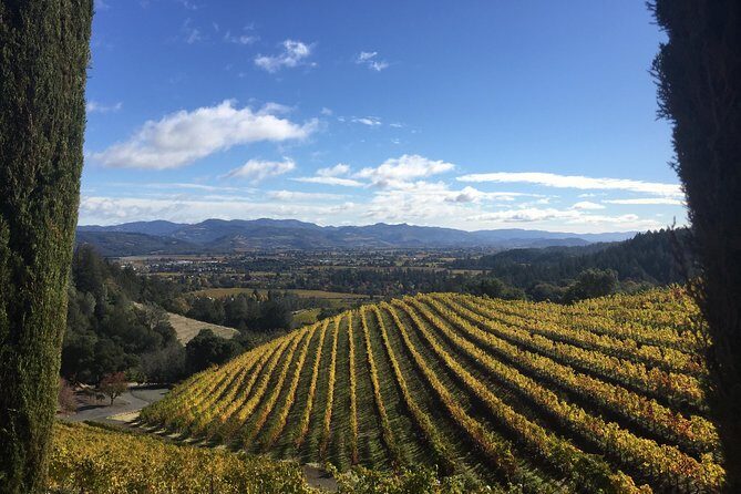 8-Hours Private Limo(up to 8 pass.) Wine Tour of Napa Valley from San Francisco - Included vs. not included: avoid the most common budget surprise