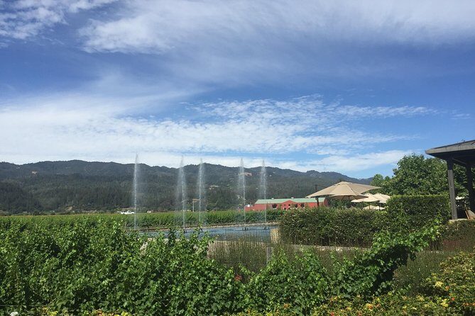 8-Hours Private Limo(up to 8 pass.) Wine Tour of Napa Valley from San Francisco - Timing reality check: 8 hours sounds big, but it moves fast