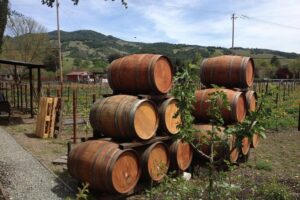 8-Hours Private SUV (up to 6 Passengers) San Francisco to Napa Valley Wine Tour - The Napa Valley stop: what you’re really buying