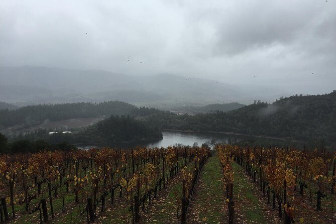 8-Hours Private SUV (up to 6 Passengers) San Francisco to Napa Valley Wine Tour - Value check: is $1,199 per group a smart deal?