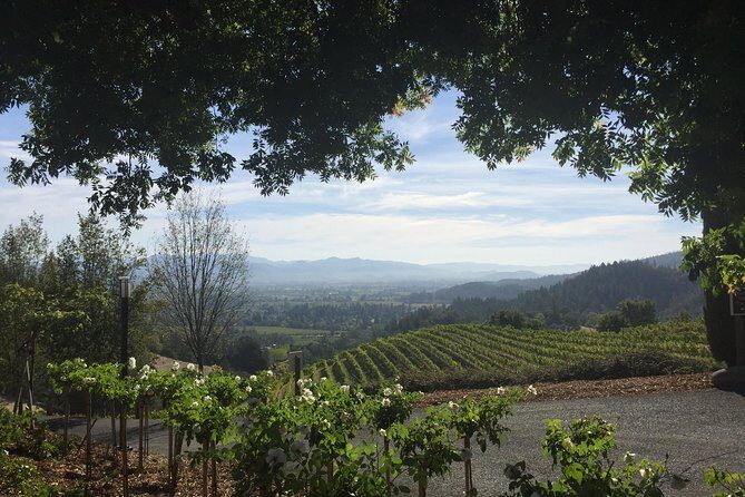 8-Hours Private SUV (up to 6 Passengers) San Francisco to Napa Valley Wine Tour - Should you book this Napa Valley private SUV tour?
