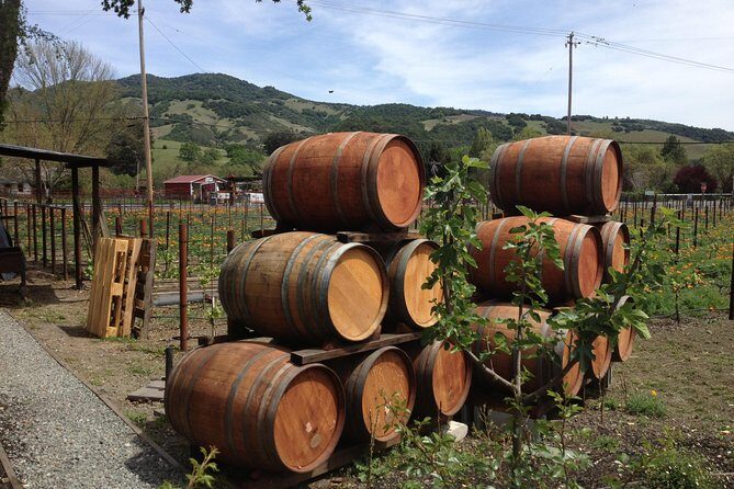 8-Hours Private SUV (up to 6 Passengers) San Francisco to Napa Valley Wine Tour - The Napa Valley stop: what you’re really buying