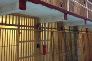 Alcatraz Island Tour with San Francisco Bay Tour - The Bay Tour hour: a simple way to get the Golden Gate Bridge view