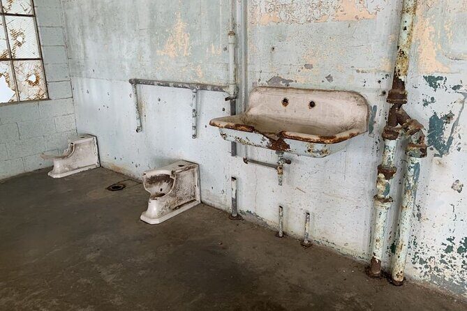 Alcatraz Night Tour with Muir Woods and Sausalito - Guides and what to expect from the way they run the day