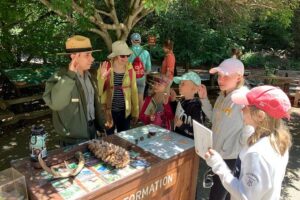 Amazing Muir Woods and Sausalito Tour - Muir Woods National Monument: what 1 hour 15 really feels like