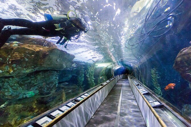 Aquarium of the Bay VIP Experience - VIP Early Entry at 9:15am: What You’re Really Paying For