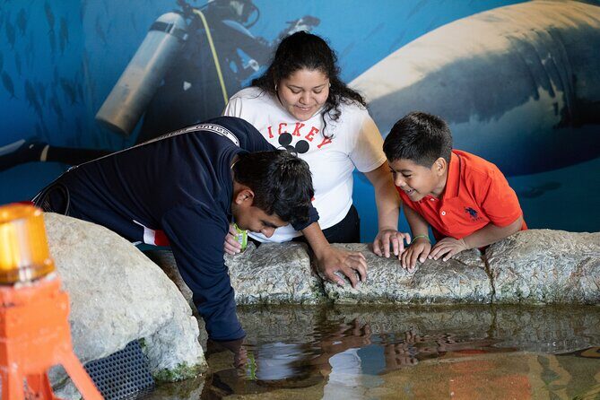 Aquarium of the Bay VIP Experience - River Otter Training Video: Why the Finale Matters