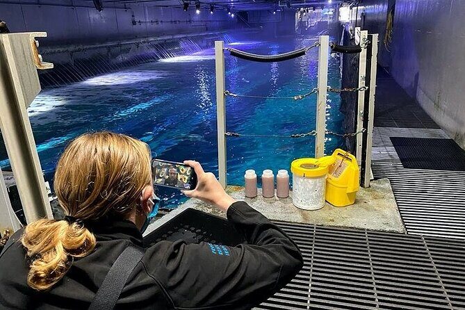 Aquarium of the Bay VIP Experience - Price and Value at $61.50: When VIP Is Worth It