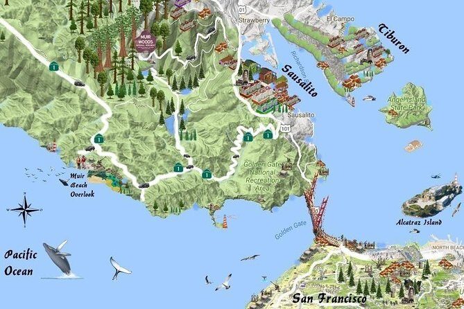 Best San Francisco, Muir Woods & Sausalito Private Combo Tour - Private vehicle comfort and pickup that actually matters in SF