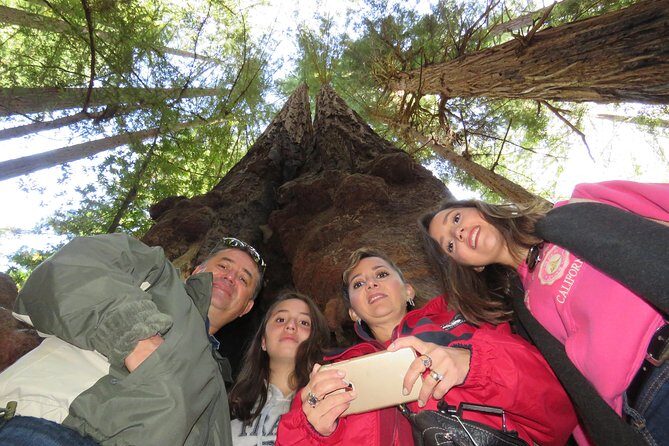 Best San Francisco, Muir Woods & Sausalito Private Combo Tour - Sausalito houseboats, real bay-town vibe, and lunch choices