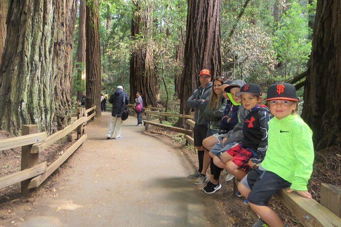 Best San Francisco, Muir Woods & Sausalito Private Combo Tour - San Francisco icons in the afternoon: Lombard Street and Alamo Square