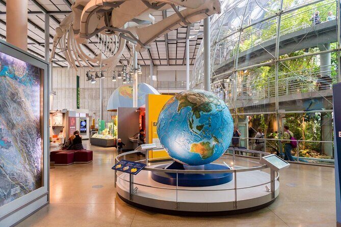California Academy of Sciences NightLife Admission Ticket - Key points worth knowing