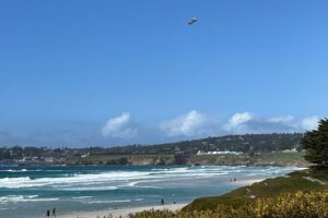 Carmel, Monterey and Big Sur Tour Private Tour from San Francisco - The 8:00 am start and your private vehicle setup