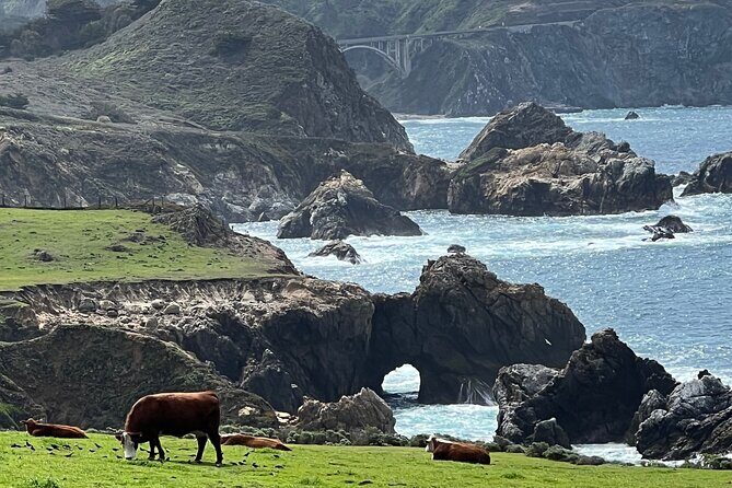 Carmel, Monterey and Big Sur Tour Private Tour from San Francisco - Carmel-by-the-Sea time: easy walking, great lunch options