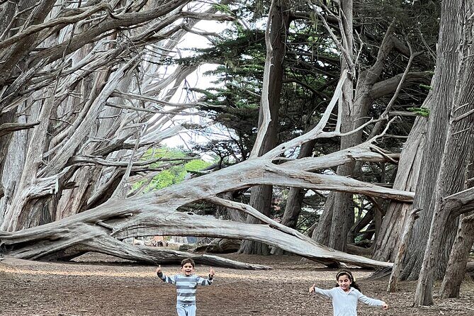 Carmel, Monterey and Big Sur Tour Private Tour from San Francisco - Big Sur viewpoints: Bixby Bridge, Hurricane Point, and time for photos