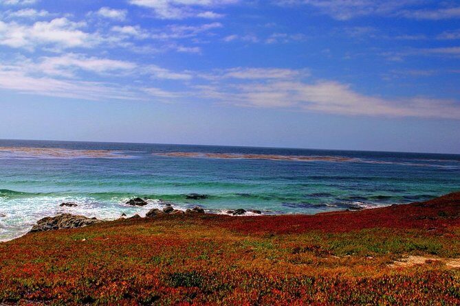 Carmel / Monterey Hwy 1 tour - A Highway 1 day trip that feels like your own itinerary