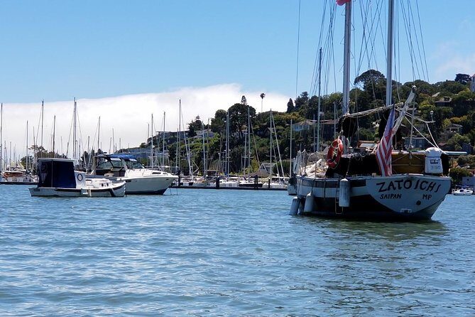 Combo Tour: Muir Woods, Sausalito and Sonoma Wine Country Tour - Muir Woods National Monument: walking old-growth coast redwoods