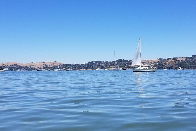 Combo Tour: Muir Woods, Sausalito and Sonoma Wine Country Tour - Two included tastings: Homewood and Jacuzzi (with possible swaps)