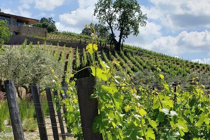 Custom 8-Hour Napa Valley Wine Tour in a Luxury Vehicle - Drivers Make or Break a Napa Day (George and Miguel Are a Big Deal)