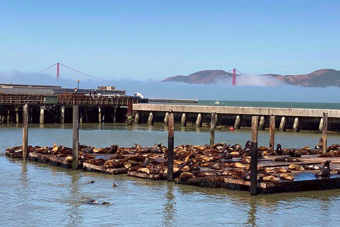 Fisherman’s Wharf Highlights Tour + Golden Gate Bay Voyage - Key Things You’ll Notice on This Tour