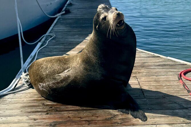 Fisherman’s Wharf & Pier 39 Food Tour - Includes Full Meal, 3 hrs - Musée Mécanique: the arcade break that makes the tour feel fun
