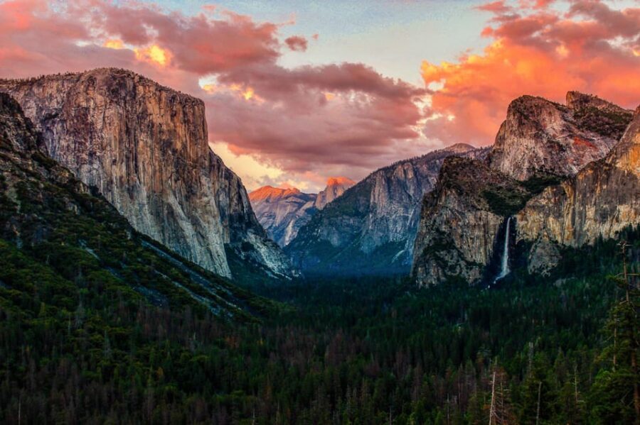 From San Francisco: Alcatraz Day and Yosemite Day Tour - Price and value: what you’re getting for $319