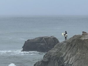 From San Francisco: Carmel, Monterey & Big Sur Private Tour - Price and Value: What $926 Per Group Buys You