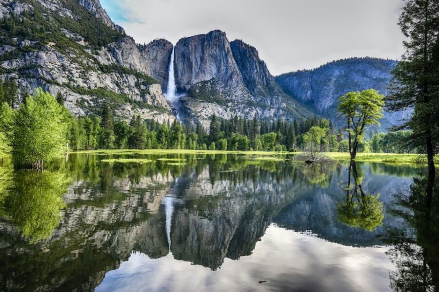 From San Francisco: Curry Village 2-Day National Park Tour - The Sequoia Walk: Short Steps Among Giants