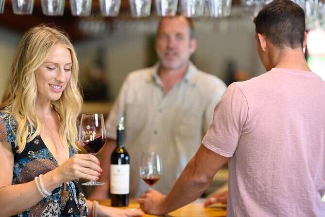 From San Francisco: Half-Day Wine Aficionado Tour with Tastings - Half-Day Wine Tour: what you’re actually buying for $91