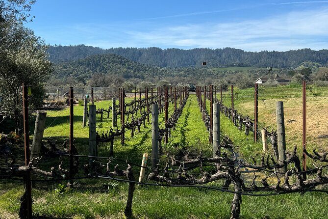 From San Francisco: Half-Day Wine Aficionado Tour with Tastings - The Bay Warm-Up: Fisherman’s Wharf, Golden Gate, and Sausalito