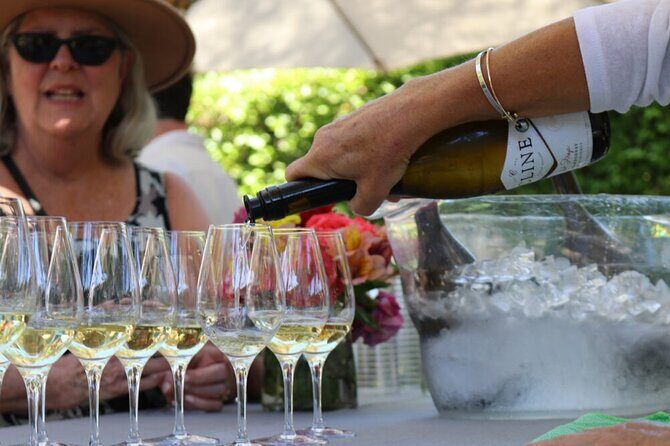 From San Francisco: Half-Day Wine Aficionado Tour with Tastings - Price and logistics: why this format works for a limited schedule