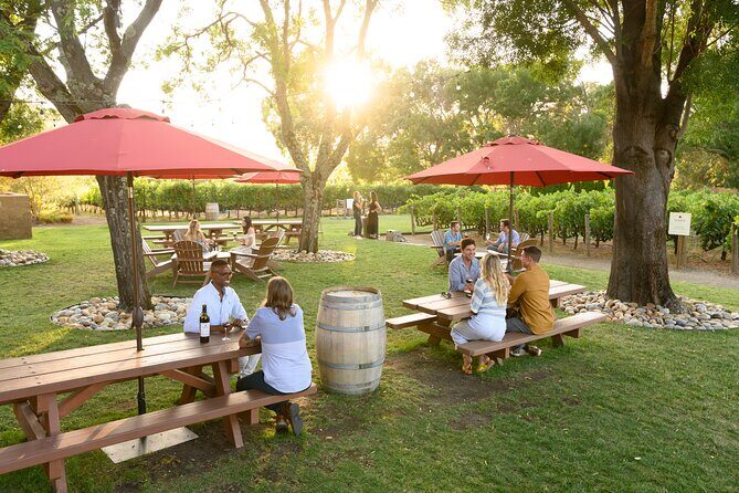 From San Francisco: Half-Day Wine Aficionado Tour with Tastings - Stop 2 at Napa Cellars: another hour, another perspective on Napa