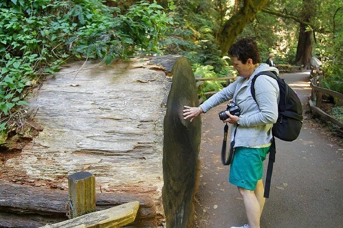From San Francisco: Muir Woods Tour and Hop-on Hop-off City Tour - Price and Logistics: is $140 good value?