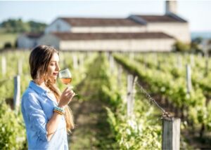 From San Francisco: Muir Woods Wine Tour with Napa & Sonoma - Hitting the Road from San Francisco and the Golden Gate Setup