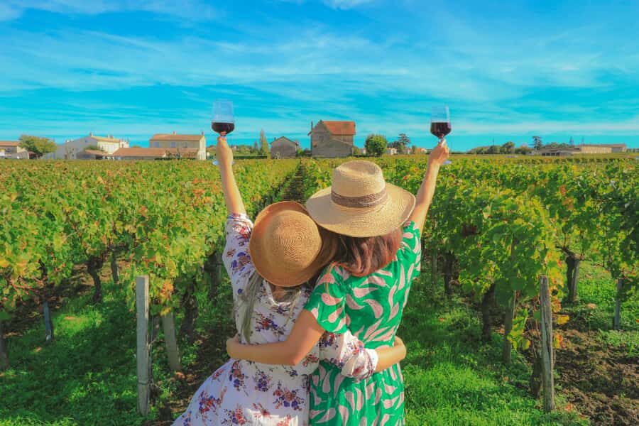 From San Francisco: Napa Valley & Sonoma Private Wine Tour - Wine Stops: Famous Names, Boutique Choices, and How to Pick