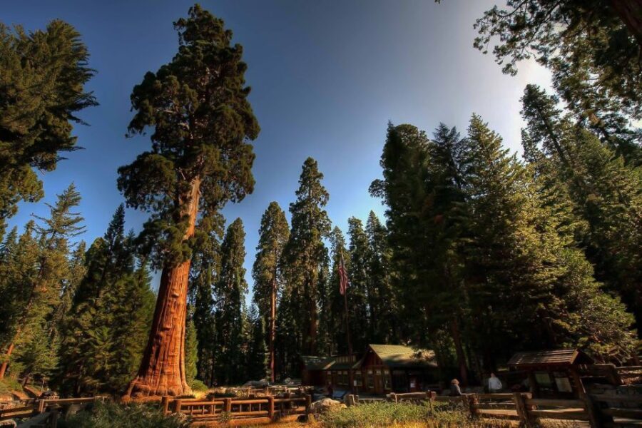 From San Francisco: Yosemite Private Full-Day Trip - Price and Value: What $1,359 Per Group Really Buys